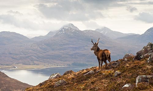 Scotland